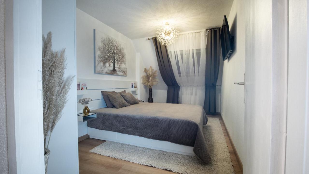 Superbe Appartement Au Coeur Du Κολμάρ Εξωτερικό φωτογραφία